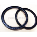 Auto Spare Parts NBR Material TC Mechanical Oil Seals TC Double Lips Crankshaft Truck Oil Seal